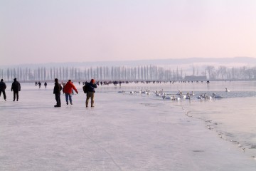 Seegfrörne am westlichen Bodensee