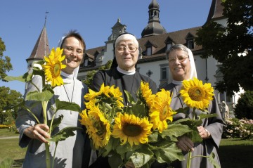 Kreuzschwestern von Hegne mit Sonnenblumen