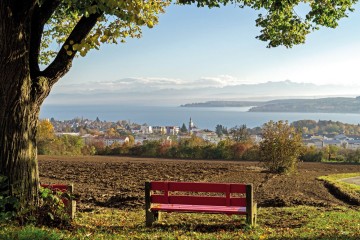 Traumblick auf Überlingen und den Bodensee