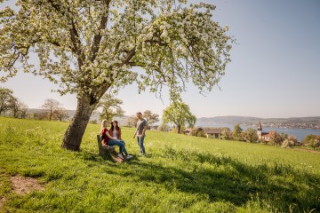 Traumaussicht auf den Bodensee