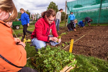 Die Arenenberger Gartenwelt lädt Besucher mit und ohne grünen Daumen zum Gärtnern ein