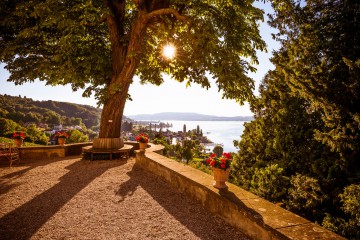 Aussichtsterrasse mit Blick über den See