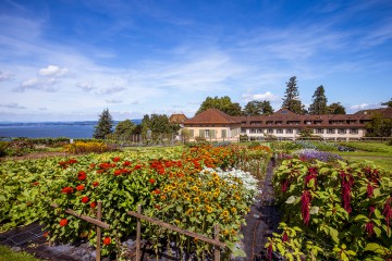 Stauden-und Sonnenblumenbeete zeigen klassische Bauerngartenpflanzen