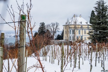 Verschneiter Arenenberg