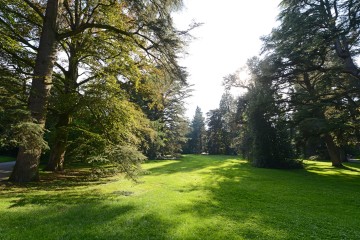 Arboretum auf der Insel Mainau