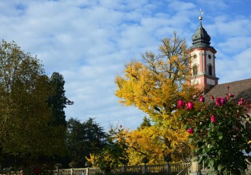 Schlosskirche und Rosengarten auf der Insel Mainau