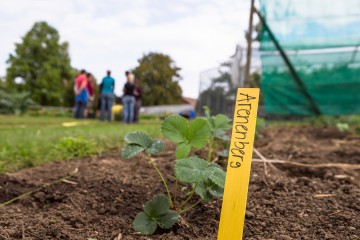 Angehende Landwirte werden auf dem Arenenberg ausgebildet.