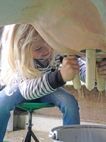 Kinderspass an der Melkattrappe beim Arenenberger Tag