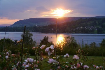 Privatgarten der Familie Kohler