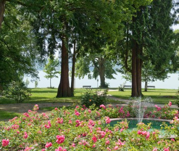 Park der Villa Rosenau in Konstanz