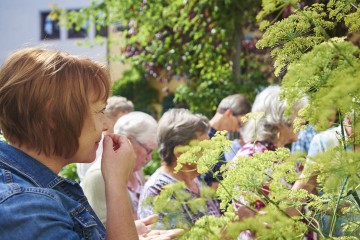 Die duftenden Pflanzen im Kräutergarten Bibelgalerie Meersburg 