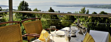 Blick über die grüne Umgebung des Parkhotel St. Leonhard hinab auf den Bodensee 