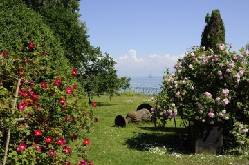 Stiegeler Park Konstanz im Sommer