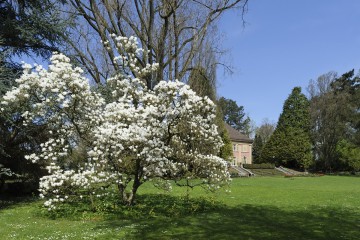 Stiegeler Park in Konstanz