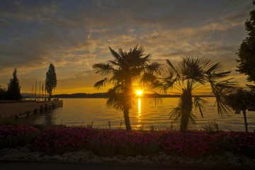 Lange Nacht der Bodenseegärten auf der Insel Mainau