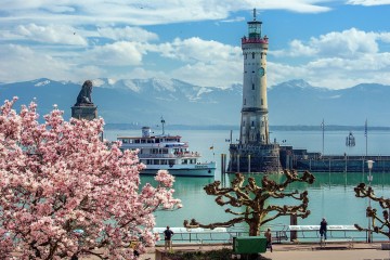 Magnolienpracht am Lindauer Hafen