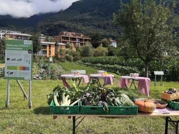 Ernährungsfeld Vaduz