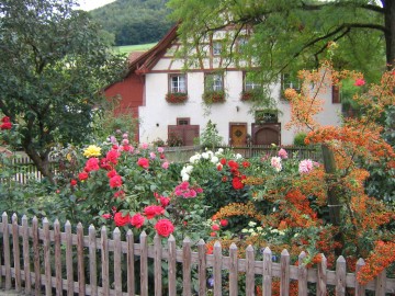 Gartenpfad Osterfingen