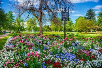 Bunt, bunter, Gartenschau Lindau