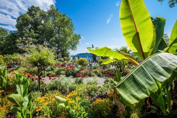 Gartenwunder Mainau