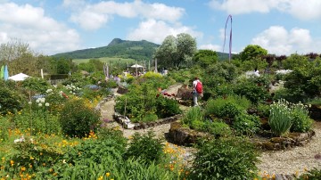 Grüne Paradiese am westlichen Bodensee entdecken