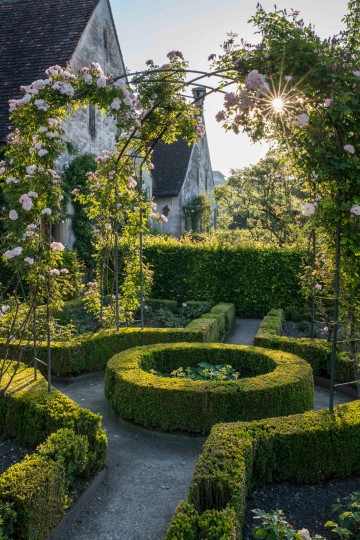 Romantisches Rosenspalier der Kartause Ittingen