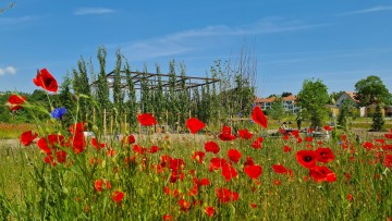 Ventilatorengarten der Landesgartenschau Wangen im Allgäu 2024