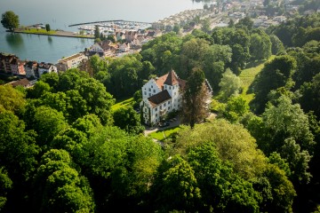 Luftaufnahme Schloss Wartegg