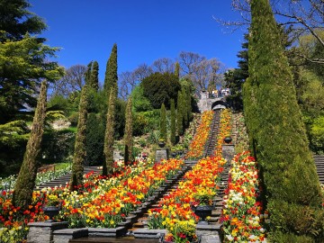 Italienische Wassertreppe Insel Mainau