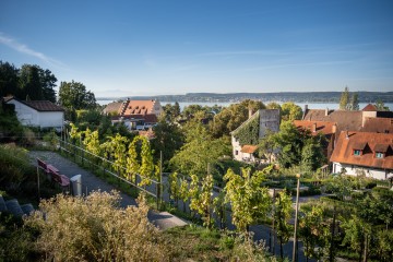 Überlinger Menzinger Gärten