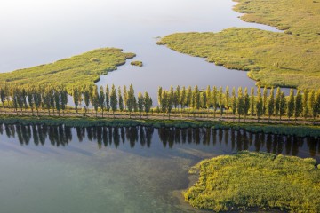 Inseldamm der UNESCO-Welterbeinsel Reichenau