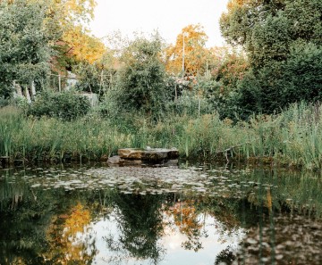  „Natur im Garten“ wächst weiter