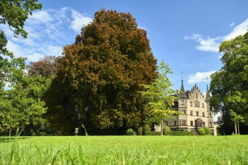 Grüne Oase der Ruhe und Entspannung