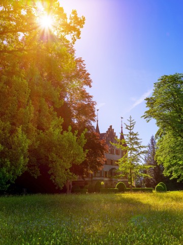 Baumgeflüster im Seeburgpark
