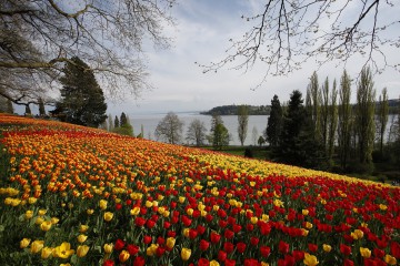 Insel Mainau