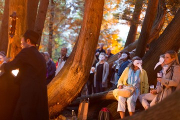 Die Lange Nacht der Bodenseegärten im Seeburgpark Kreuzlingen