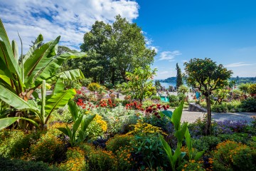 Üppige Gartenpracht auf der Blumeninsel Mainau