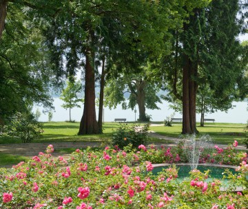 Rosenau: Parkidyll an der Konstanzer Seepromenade