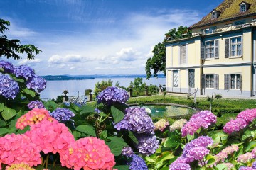 2 - Blumen für die Königin