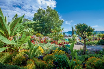 Blumenpracht auf der Insel Mainau