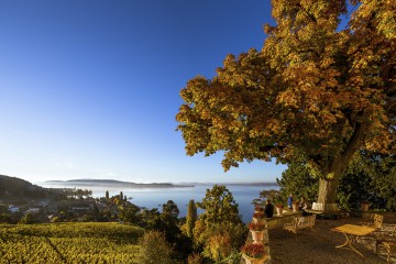 Blick von der Arenenberger Aussichtsterrasse