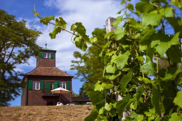 Hochwart auf der Insel Reichenau