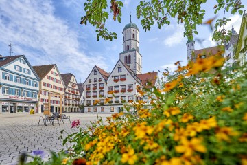 Biberach mit Stadtpfarrkirche St. Martin