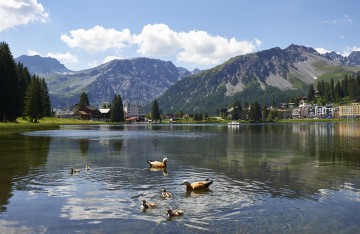 Arosa 