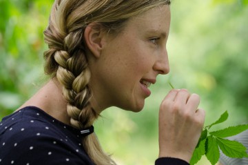 Wildkräuterwanderung auf der Halbinsel Höri mit Nadine Allgaier