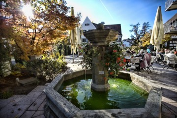 Der Biergarten des Hotel Gasthaus Hirschen