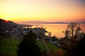 Farbenfrohe Künstlerlandschaft