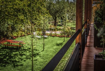 Blick auf den Apfelgarten