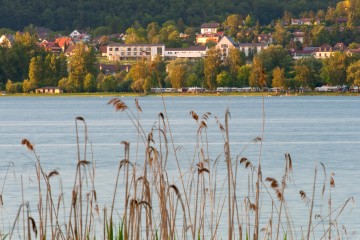 Blick von der Reichenau nach Hegne