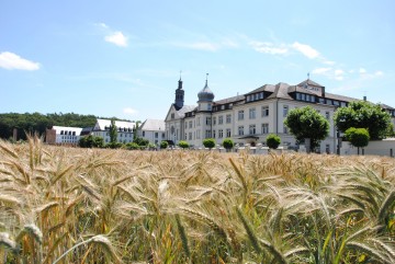 Das Kloster Hegne erleben